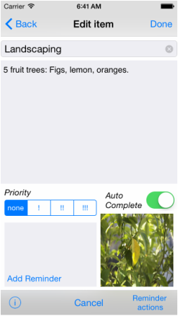The Edit Item view, parent item